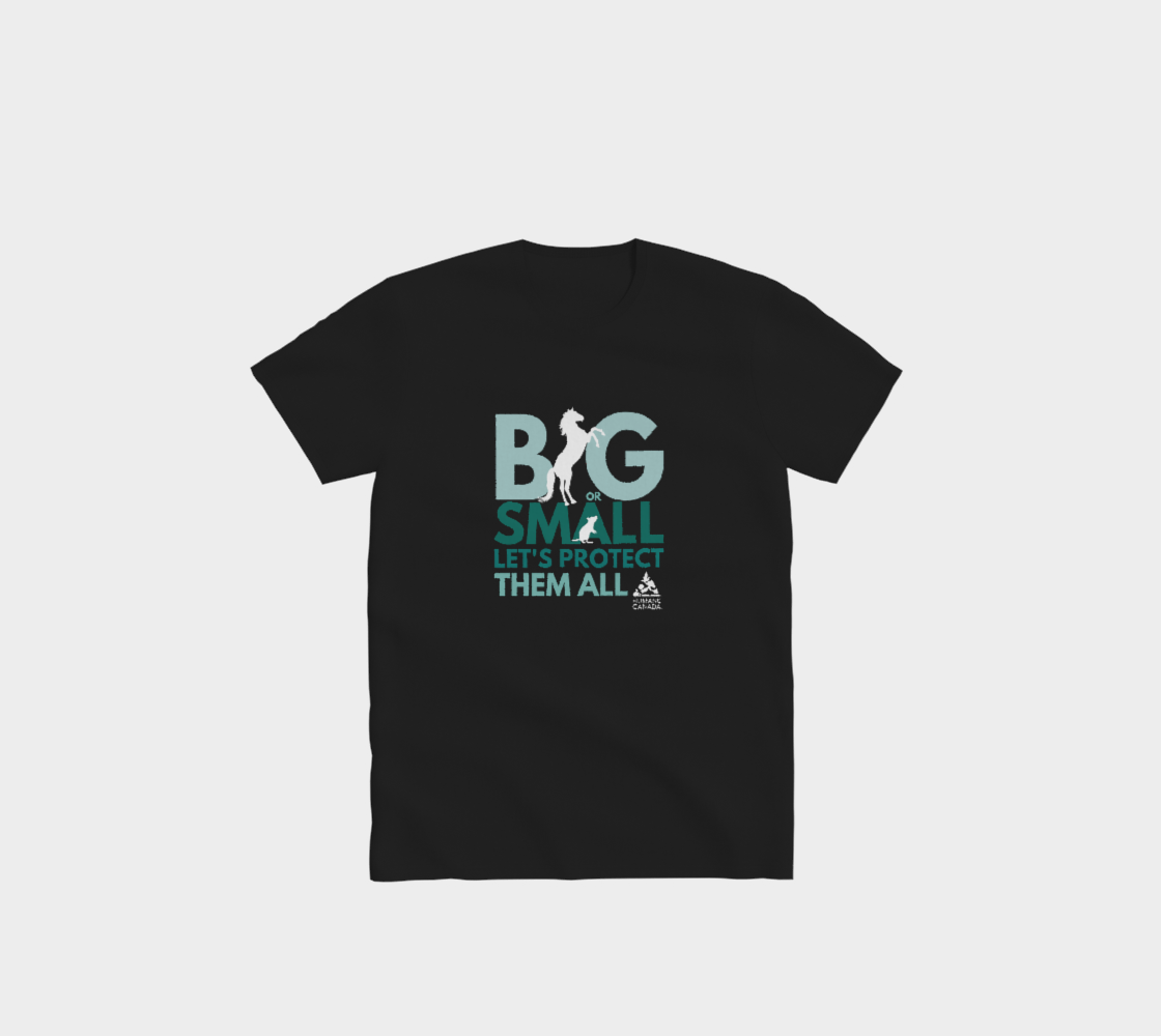 Big or Small - Crewneck T-Shirt
