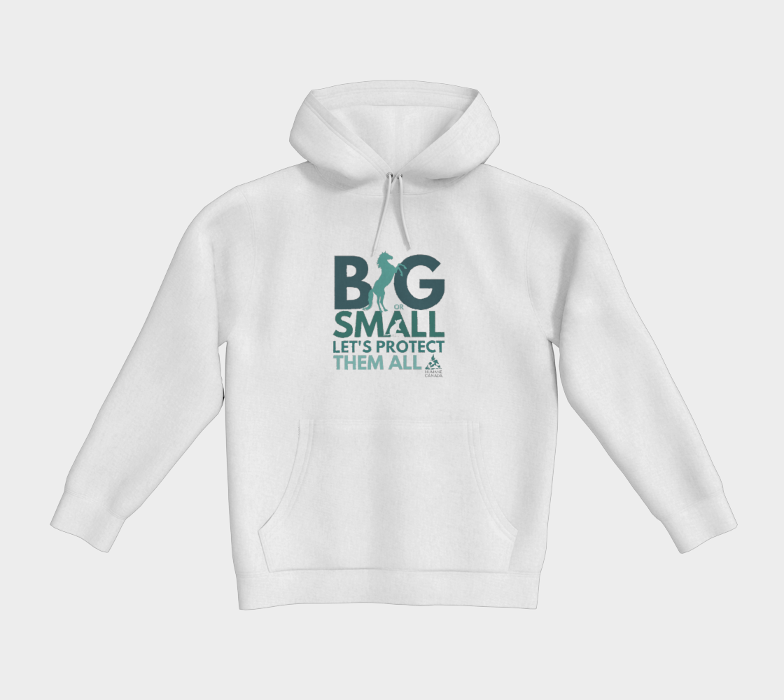 Big or Small - Comfort Hoodie