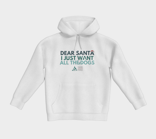 Dear Santa Pullover Hoodie
