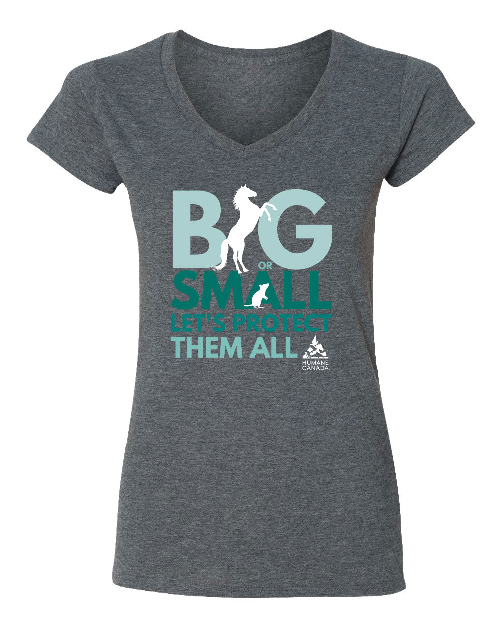Big or Small - V-Neck Ladies T-shirt