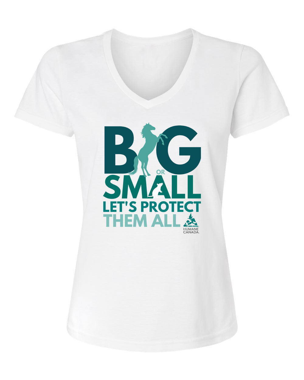 Big or Small - V-Neck Ladies T-shirt